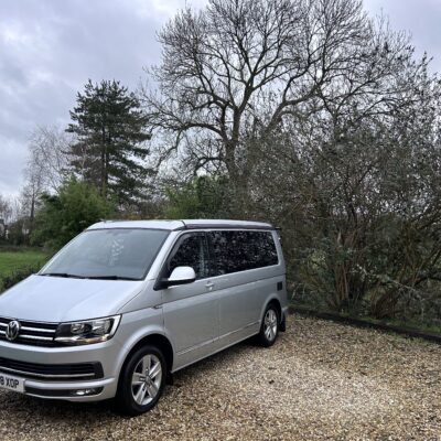 California Ocean 204 PS 2018