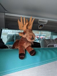 97. But a moose did get added to our travel collection - did you notice dnky in any of the pics.jpg