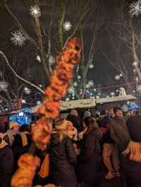 17 excellent food - some meat on a stick.jpg
