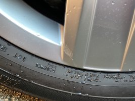 IMG_3225.jpeg IMG_3225.jpeg