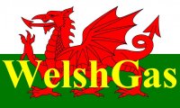 Welsh-Flag.jpg