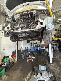 IMG_3051.jpeg