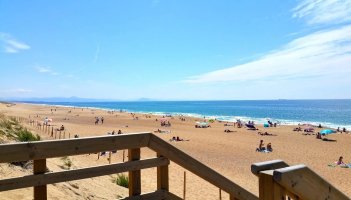 plage-dondres-landes-jpg-webp.jpg