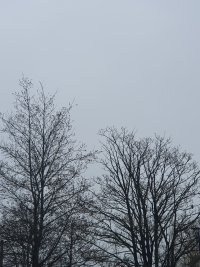 20250215_110108.jpg