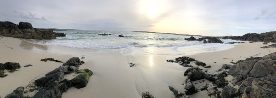 IMG_1992.jpeg