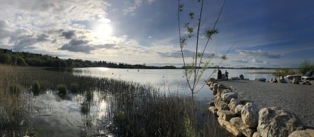 IMG_2056.jpeg