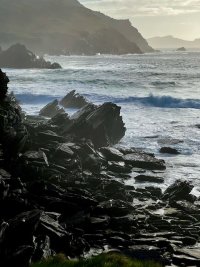 IMG_3547.jpeg