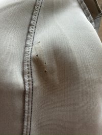 IMG_3268.jpeg IMG_3268.jpeg