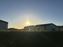 IMG_7449.jpg