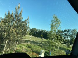 IMG_6462.jpeg