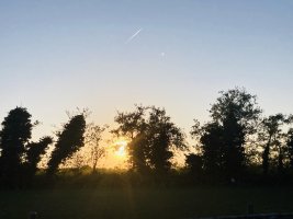 IMG_6445.jpeg