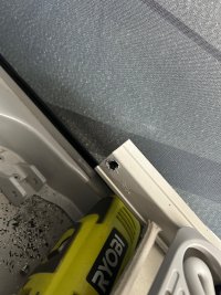 IMG_2765.jpeg