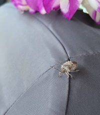 IMG_8431.jpeg IMG_8431.jpeg
