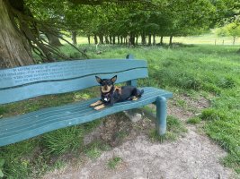 IMG_2138.jpeg