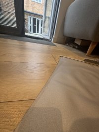 IMG_4209.jpeg IMG_4209.jpeg