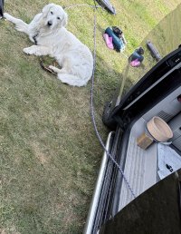 IMG_4218.jpeg