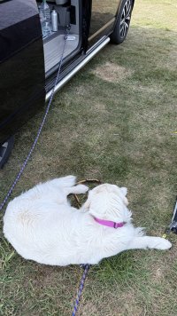 IMG_4219.jpeg