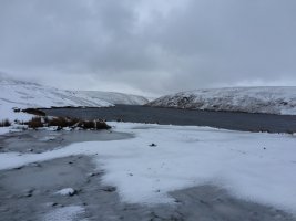 IMG_5379.jpeg