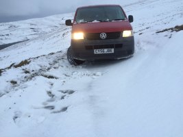IMG_5381.jpeg