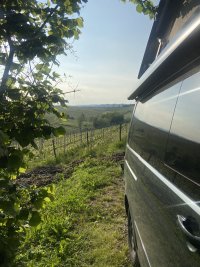 IMG_0822.jpeg