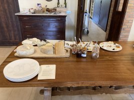 IMG_0837.jpeg