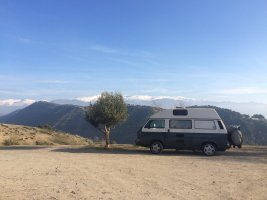 IMG_4232.jpeg