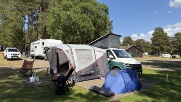 IMG_1294 Medium.jpeg