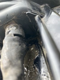 IMG_9550.jpeg IMG_9550.jpeg