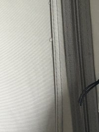 IMG_7384.jpeg