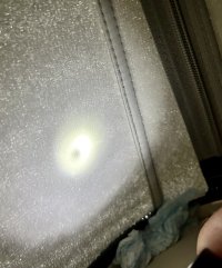 IMG_7380.jpeg