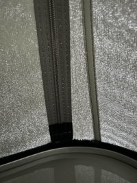 IMG_7383.jpeg