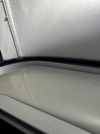 IMG_7400.jpeg
