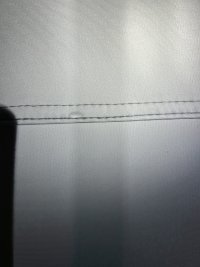 IMG_7401.jpeg