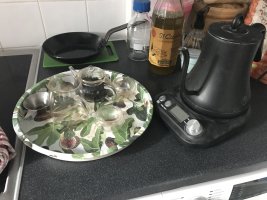 IMG_1347.jpeg