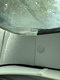 IMG_8786.jpeg IMG_8786.jpeg