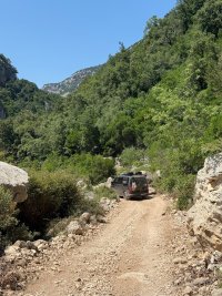 IMG_8706.jpeg