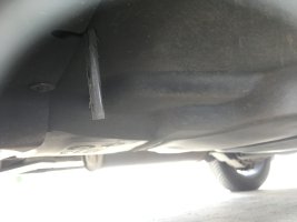 IMG_6952.jpeg