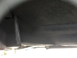 IMG_6951.jpeg