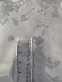 PXL_20250624_164023594.jpg