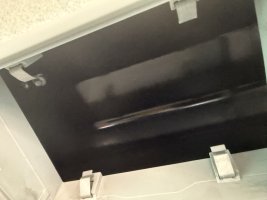 IMG_2239.jpeg