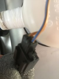IMG_1232.jpeg