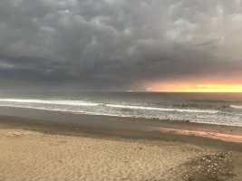 IMG_2196.jpeg