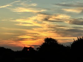 IMG_0250.jpeg