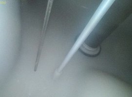 IMG_7044.jpeg