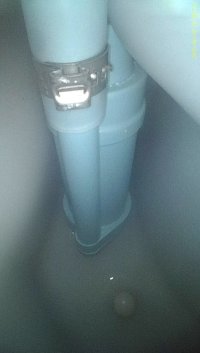 IMG_7043.jpeg