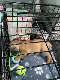 IMG_5299.jpeg