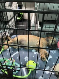 IMG_5298.jpeg