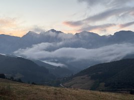 IMG_3786.jpeg