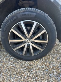 IMG_8087.jpeg