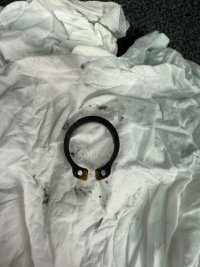 IMG_1148.jpeg IMG_1148.jpeg